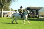 SBM_37381