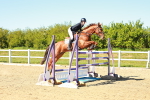 SBM_002032