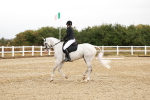 SBM_001599