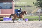 BPP_6239