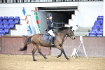 SBM_000168