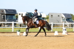SBM_010604