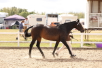 SBM_15355