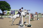 Cls 28 BS Pony 1.15m portfolio