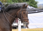 BPP_8671