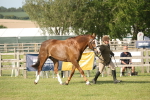 SBM_10479