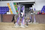 SBM_000509