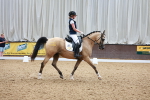 SBM_004597