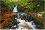 Autumnal Colour, Gleno Waterfall (IMG0915)
