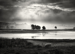 Light on the Lake