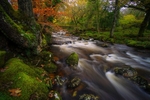 Shaugh Prior Footbridge