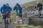 Langdale-587