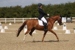 SBM_021891