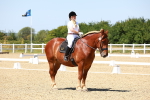 SBM_011818