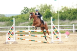 SBM_009684