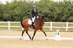 SBM_009311