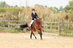 SBM_001955