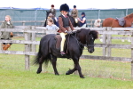 SBM_08492