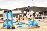 SBM_006799