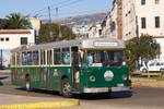 Trolley Bus