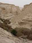Zin Canyon, Israel, Looking Down