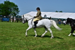 SBM_03750