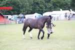 SBM_11264