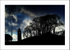 Turlough -9357