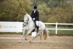 SBM_001253