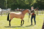 SBM_05586
