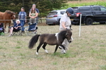 WJ6_5687