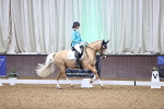 SBM_008310