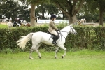 SBM_73673