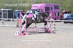 BPP_1033
