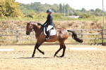 SBM_001686