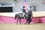 SBM_03346