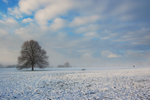 Cold snap Clifton Downs _B0168