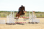 SBM_006700