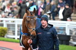 151124-Race 4-Paddock-Slipway-7951