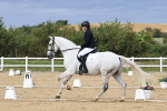 SBM_014239