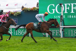 Race 2 2.25pm Harry's Half Million By Goffs portfolio