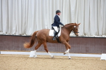 SBM_001353