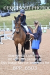 BPP_6503