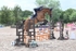 BPP_1529