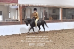 BPP_0387