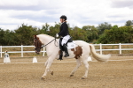 SBM_006350