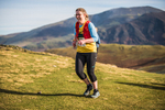 Sale Fell-610