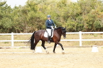 SBM_003710