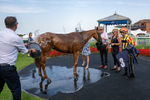 130826-Race 6-Saxon Grace-8636