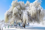 Woodland Park in Snow